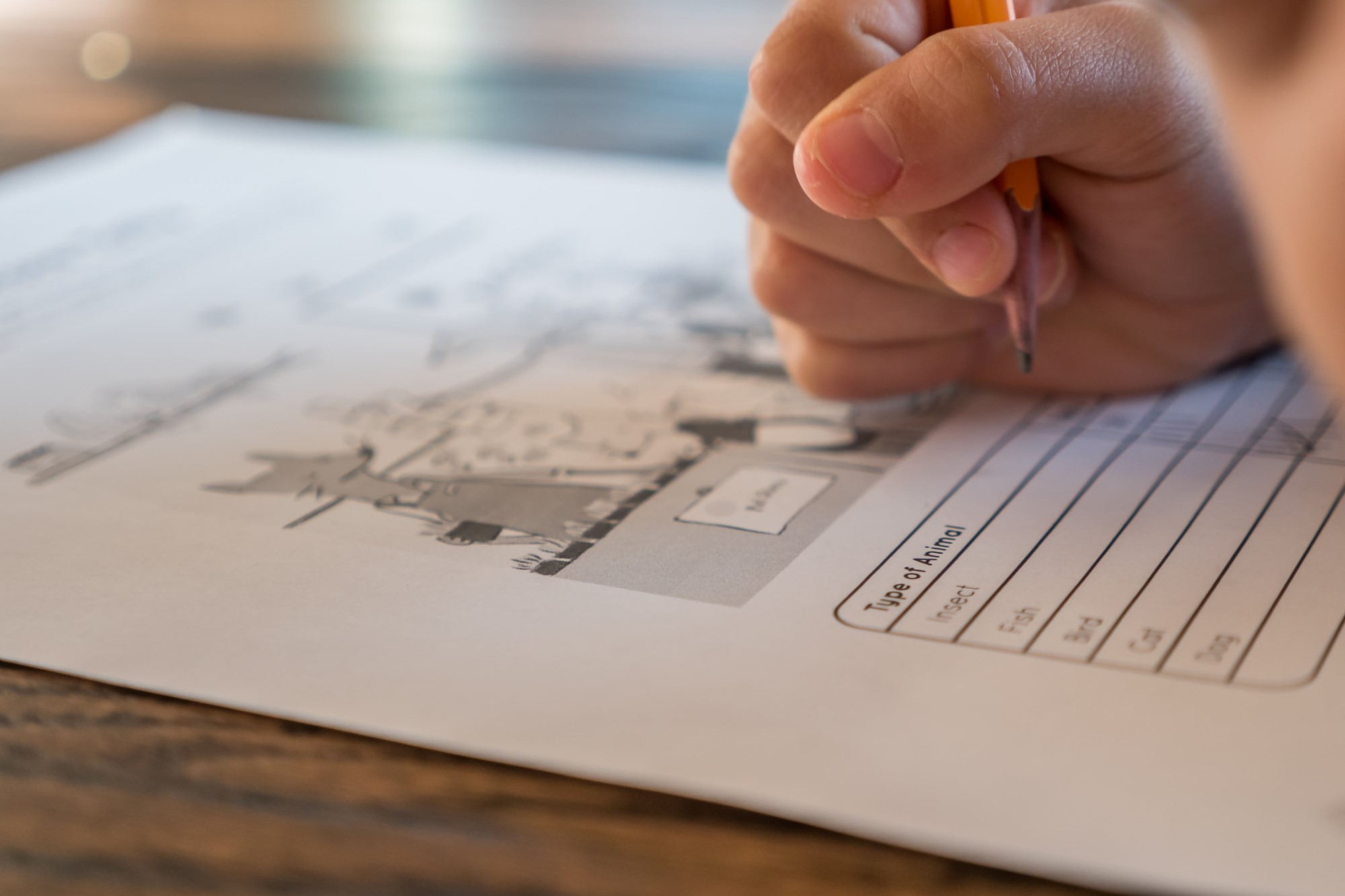 Child practicing writing for NAPLAN